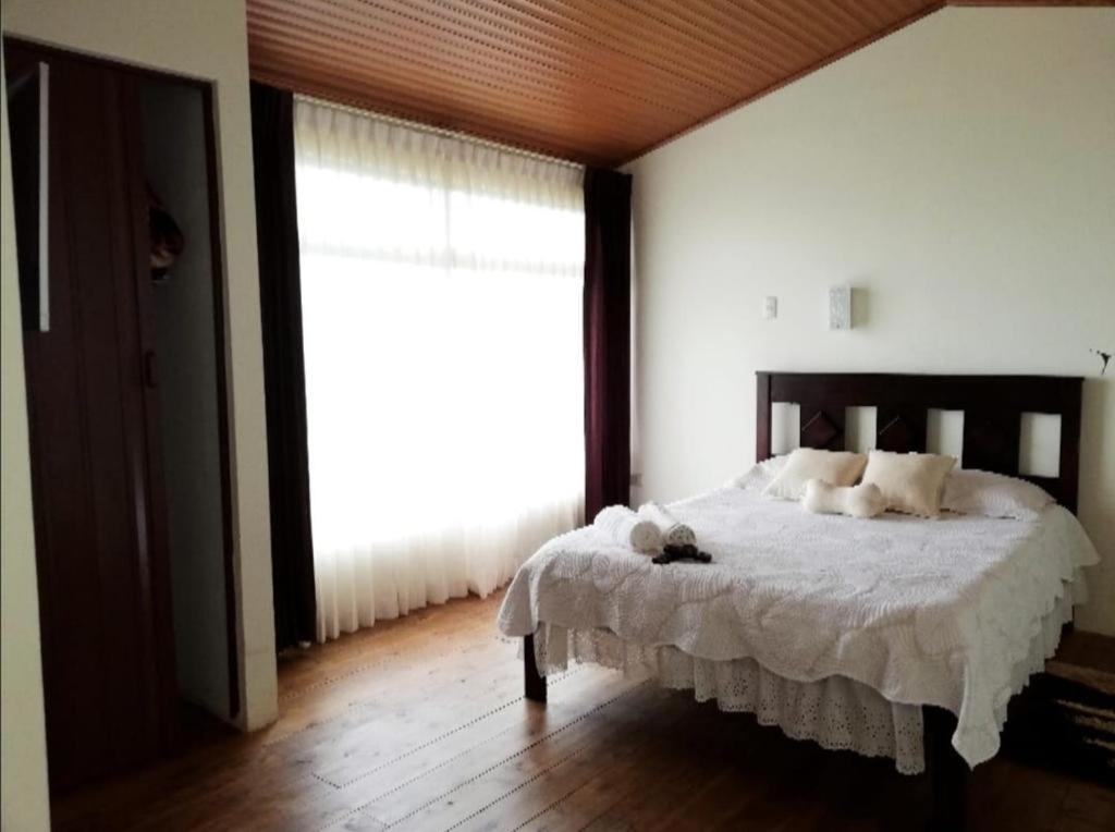 Hotel Vistas Del Cielo Cartago Exteriör bild